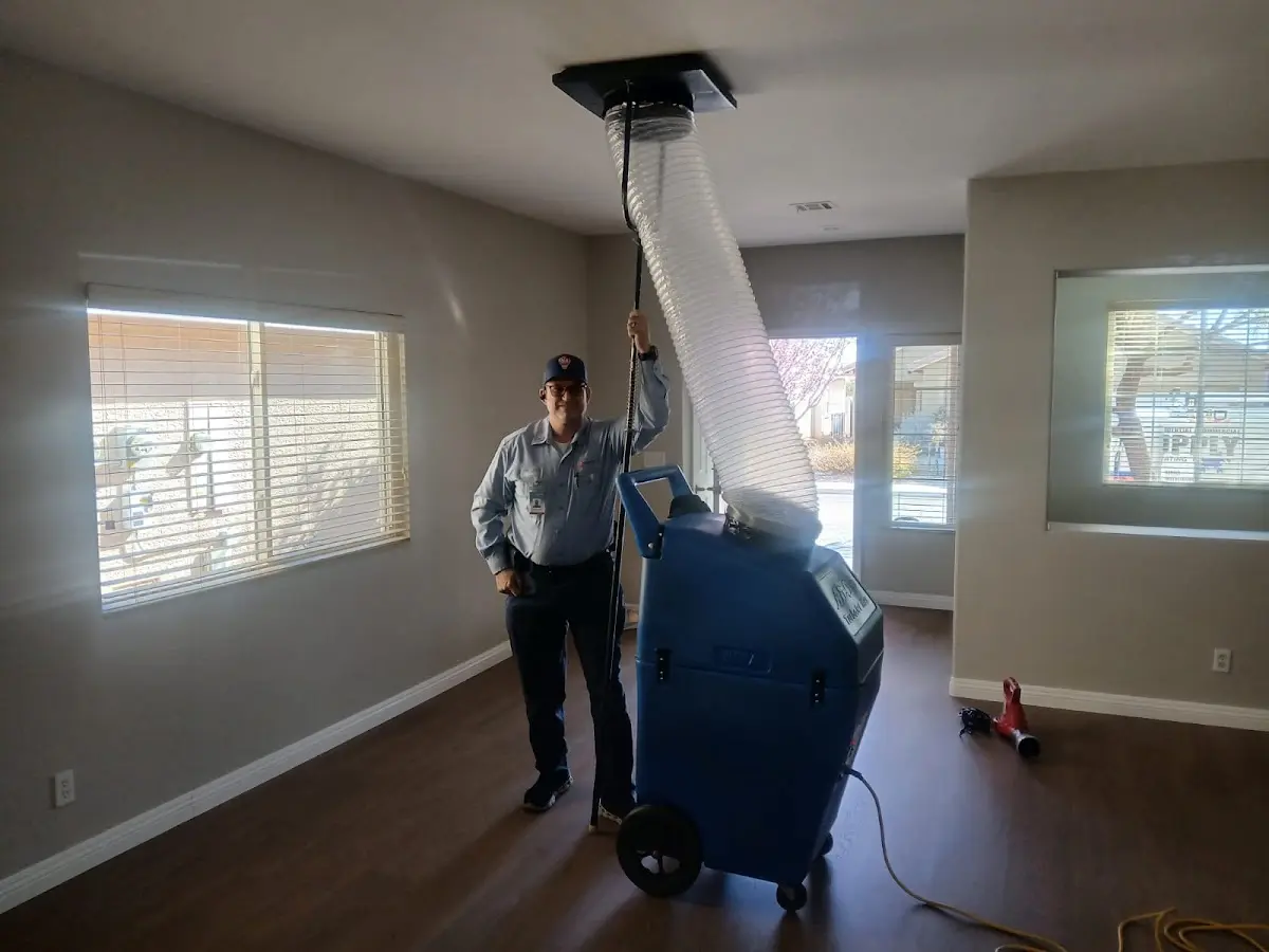 Professional Dryer Vent Cleaning work inside a Bell home